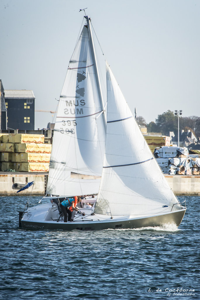 route-du-rhum-2014-346.jpg